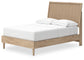 Cielden Full Panel Bed with Mirrored Dresser and Chest